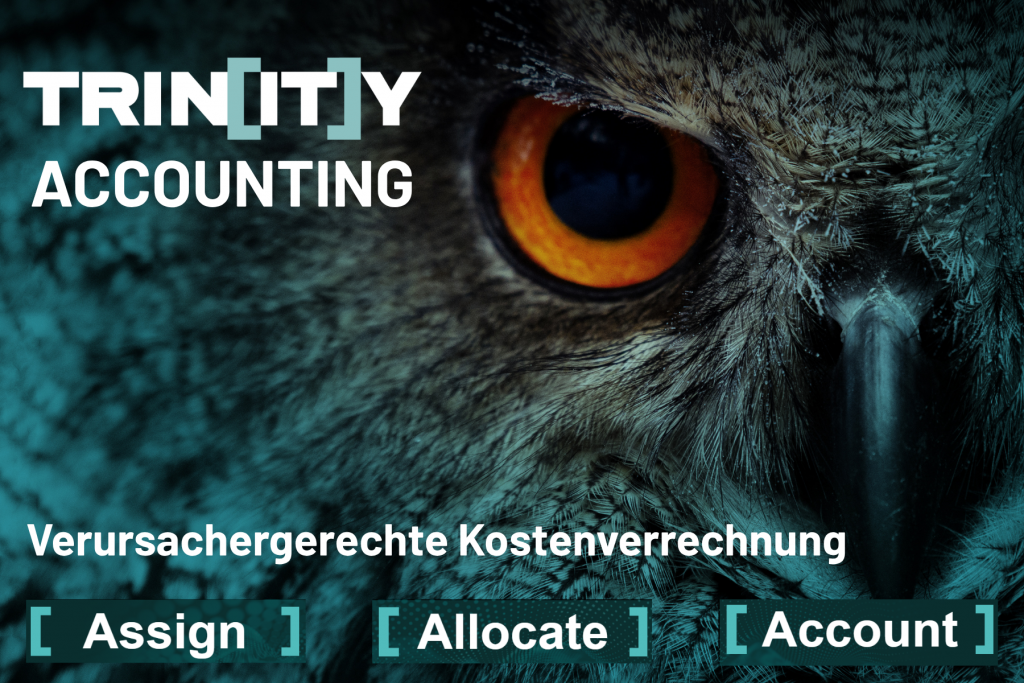 Trinity Accounting Kostenverrechnung